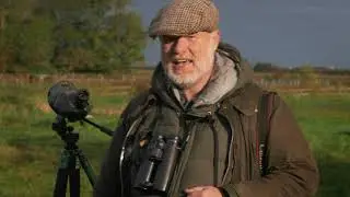 Bearded Vulture spotted in the Peterborough area