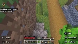 Weird Minecraft World