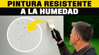 Pinturas resistentes a la humedad I Lo Mejor