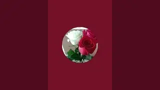 sayed channel  is live