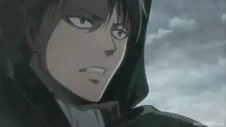 Levi`s Pain