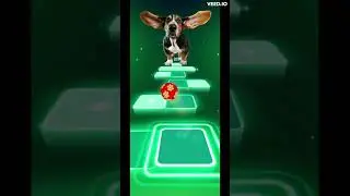 Tiles Hop| Cute Dog 5 #tileshop #dog #shorts #cute