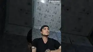 T&igrave;nh Kh&uacute;c V&agrave;ng TOVU Cover 