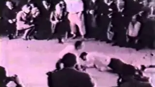 Bodyguard challenges Gozo Shioda