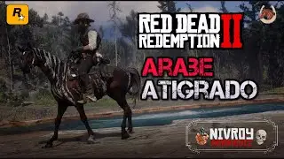 CABALLO ARABE ATIGRADO.      RED DEAD REDEMPTION 2