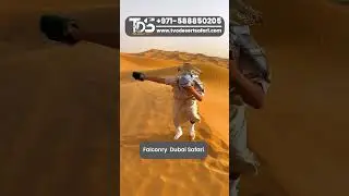 Soar in the Desert: Falconry on Dubai&rsquo;s Safari#falconry #desertsafari #desertsafariadventure
