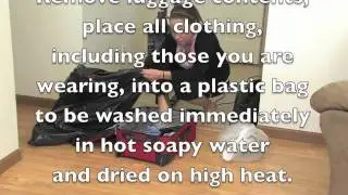 Bed Bug Travel Tip: Avoid Bringing Bed Bugs Home