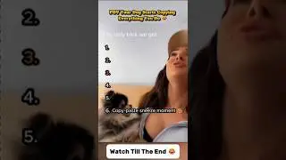 POV: Your Dog Starts Copying Everything You Do 😂🐶📹