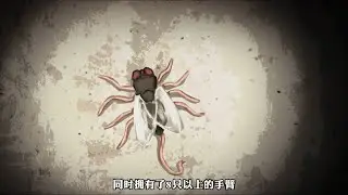 下水道清理工作规则，请小心不存在的动物