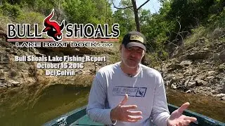 Bull Shoals Lake Fishing Report October 15