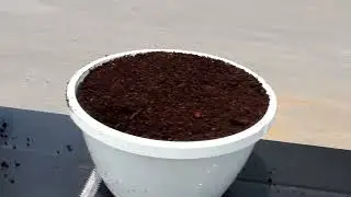 Bouldin & Lawson LLC - 131 Pro Flat and Pot Filling System