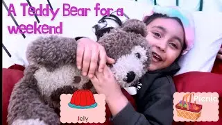 A Class Room Teddy Bear For The Weekend