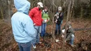 Amphibian Research at the South Holston Weir Dam