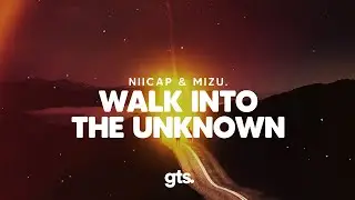 Niicap, MIZU. - Walk Into The Unknown