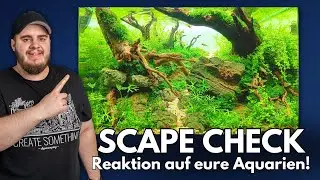 Ich reagiere auf eure Aquascapes! Scape Check
