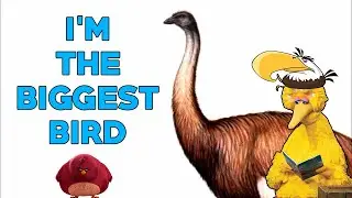 [MV] SAINT MERCAT&Oslash;R &ndash; Da Biggest Bird