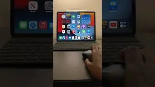 Using a Bluetooth mouse with an iPad | Accessibility