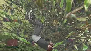 Olha l&aacute; o tomb&atilde;o kkkkkkk😂😂😱
