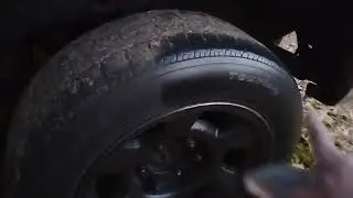 Adams graphene tire shine makes your tires real black