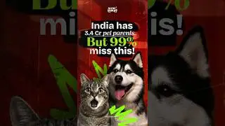 Pet Insurance in India | Save ₹10k&ndash;₹50k on Vet Bills 🐾 #WowInsure