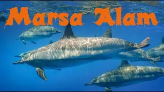 Tauchen Marsa Alam Ägypten 2019 4K