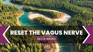 Reset The Vagus Nerve | Beat Anxiety, Stress, Insomnia, Aging, Jet Lag & Depression | Delta Waves