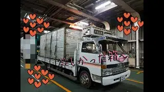【置き場生活】１９８４年製トラックの箱をはこぶ力持ちエルフ、めっちゃ欲しかったのよ～
