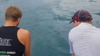 Whangamata New Zealand Fishing