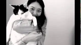 Lukky & Yuri Cat video ( Epilogue video )
