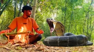 Anaconda Snake Attack On Village Boy In Forest | Anaconda Attack 
