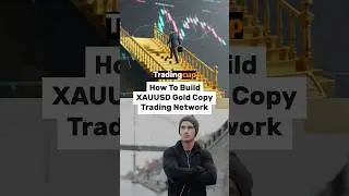 🚀 Build Your XAU/USD (GOLD) Copy Trading Network
