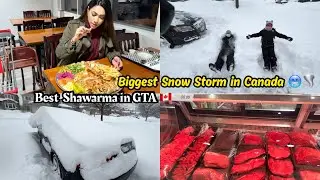 Biggest snow storm in Canada 🥶🌪️| Pura city Shutdown ❌😳| Best Shawarma in GTA 🇨🇦🔥