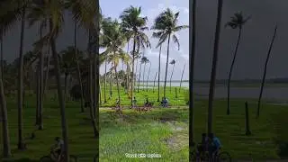 Hidden Gems Alleppey Vlog Stories 🌴 #alleppeyhouseboats #kerala #trendingshorts #keralavlogger