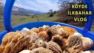 Köyde Yaşam İlkbahar Doğa Gezisi Vlog
