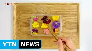 [K-TASTE] 꽃 화채  / YTN