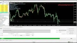 Protected Forex EA Robot | Winner Forex EA Robot | Forever Proven Forex Robot