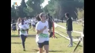 corta mato 2012