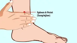 SPLEEN 6 SANYINJIAO (THREE YIN INTERSECTION)