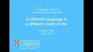 Embark on a postgraduate career at MMLL.