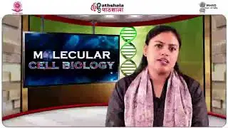Cell Cell Adhesion and Communication