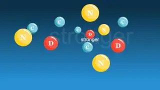 Inception of Offshore Software Development Company - CDN Solutions Group