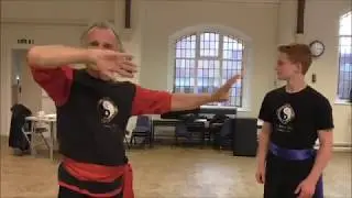 Lesson 43: Swan's Neck Ward Off: Li (Lee) Family Style T'ai Chi Ch'uan