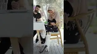 Muslim Status New non muslim vs muslim halal relationship #shorts #shortvideo #status #tiktok