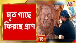 Bongaon Municipality-র প্রচেষ্টায় মৃত গাছে ফিরছে প্রাণ