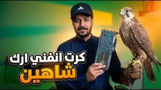 طير حر شاهين من انفني ارك RTX 5060 🚨🚨