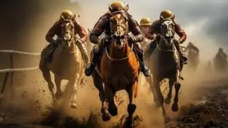 horse Mela Resing | The battle of the horses,🐎😱 #horse #foryou #viralshorts #subsribe #Horselover