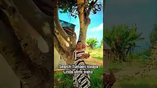 tumaini kwaya Linda ulimi wako short video
