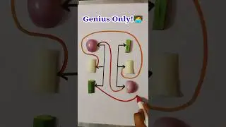Only for a Genius!   Concept Matching to Circle without crossing the lines! #youtube #puzzle #art