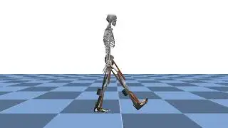 PPO walking cycle