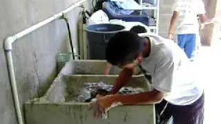 Washing school uniforms by hand